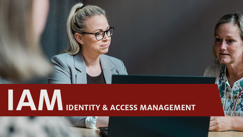 Lösningar för IAM Identity and Access Management från Pulsen Integration